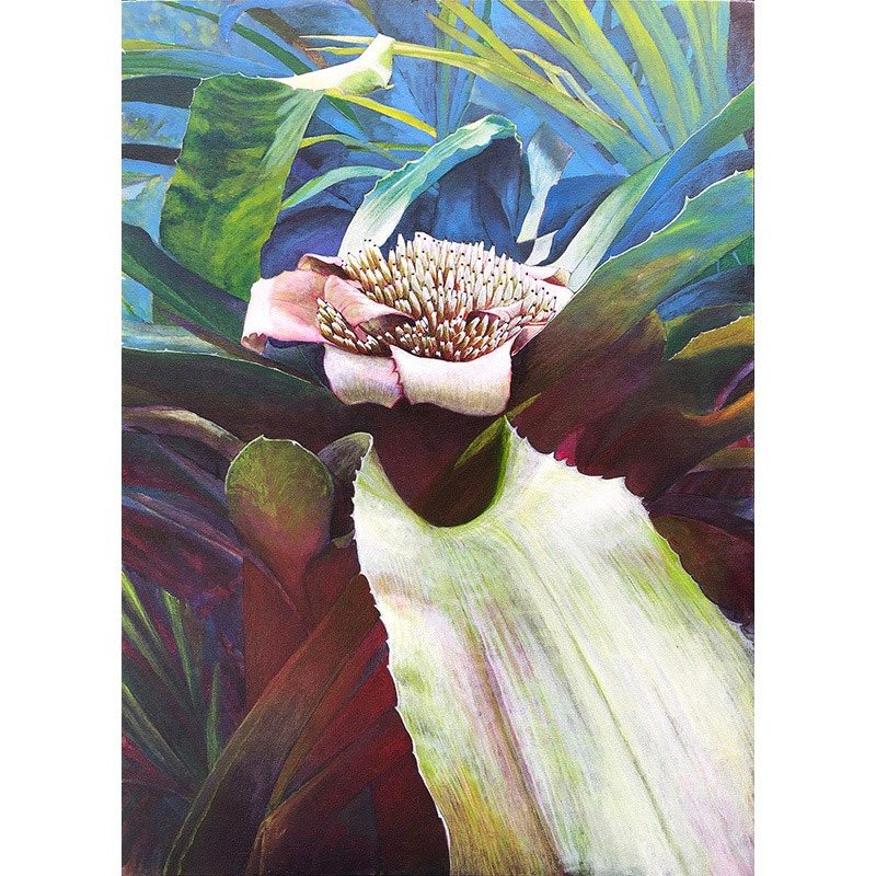 Bromélia